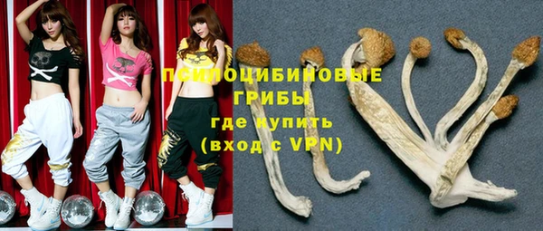круглые Богданович